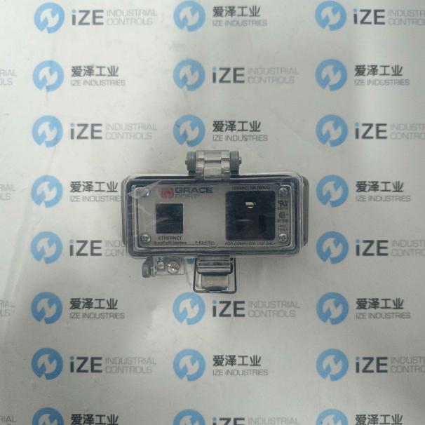 grace導(dǎo)熱硅脂P-R2-F3R0 愛(ài)澤工業(yè) izeindustries (6)_副本