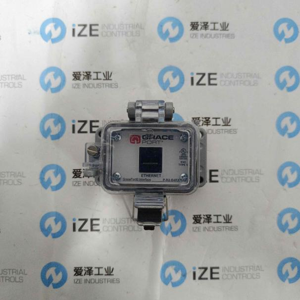 GRACE電壓指示器P-R2-B4RX 愛(ài)澤工業(yè) izeindustries (5)_副本