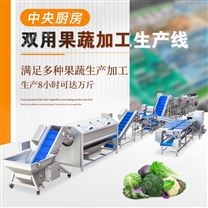 蔬菜凈菜加工流水線設(shè)備